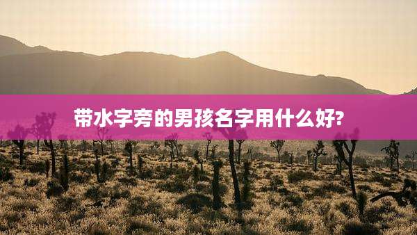带水字旁的男孩名字用什么好?