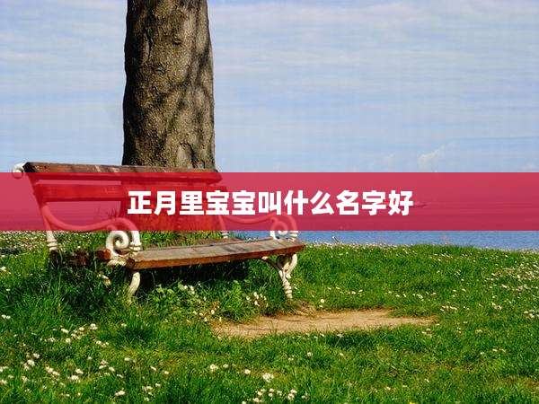 正月里宝宝叫什么名字好