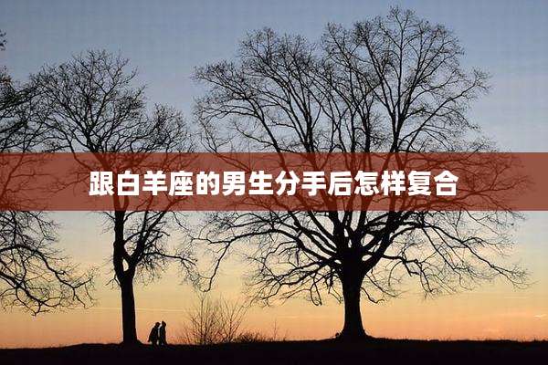 跟白羊座的男生分手后怎样复合