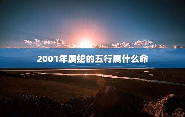 2001年属蛇的五行属什么命