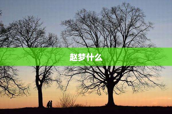 赵梦什么