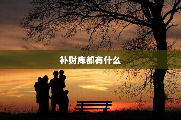补财库都有什么