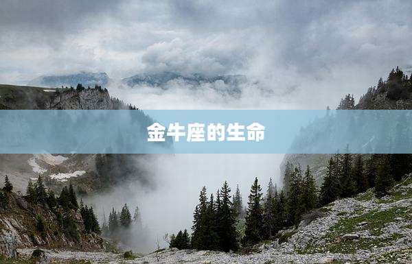 金牛座的生命