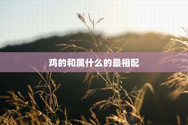 鸡的和属什么的最相配