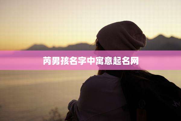 芮男孩名字中寓意起名网