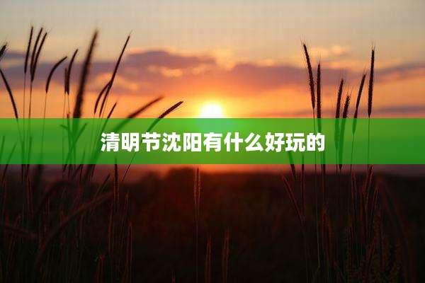 清明节沈阳有什么好玩的