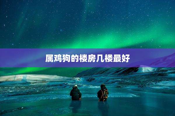 属鸡狗的楼房几楼最好