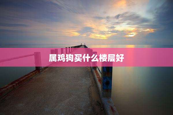 属鸡狗买什么楼层好