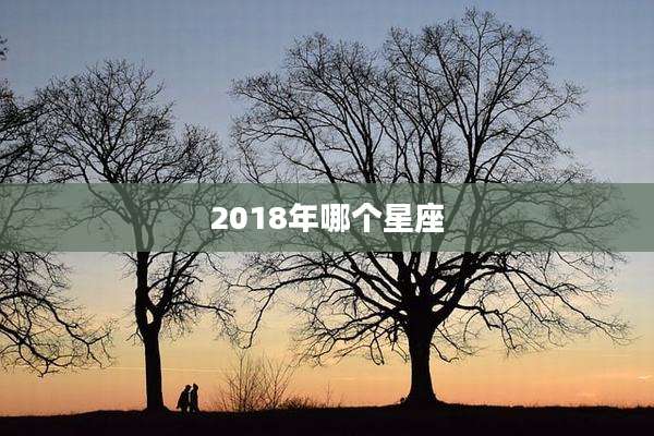 2018年哪个星座