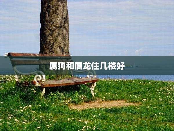 属狗和属龙住几楼好
