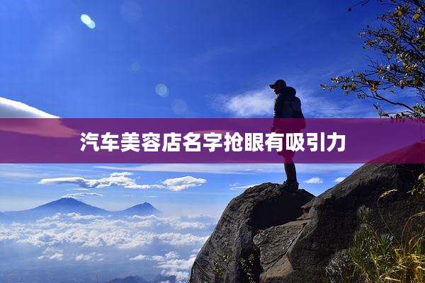 汽车美容店名字抢眼有吸引力