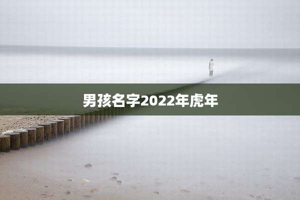 男孩名字2022年虎年