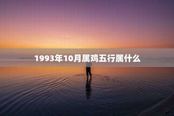 1993年10月属鸡五行属什么