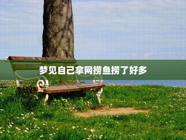 梦见自己拿网捞鱼捞了好多