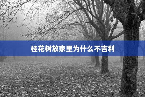 桂花树放家里为什么不吉利