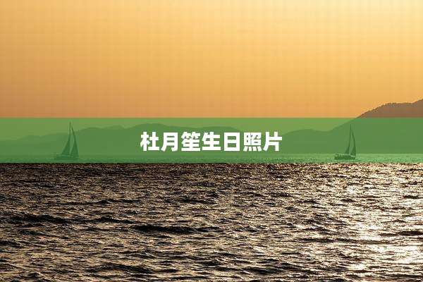 杜月笙生日照片