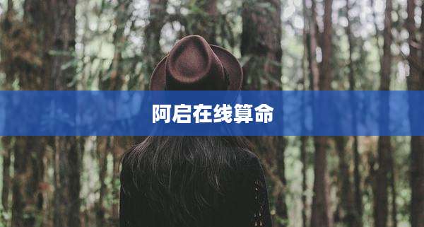 阿启在线算命