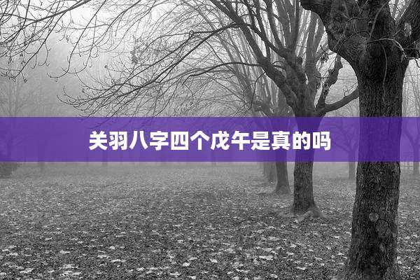关羽八字四个戊午是真的吗