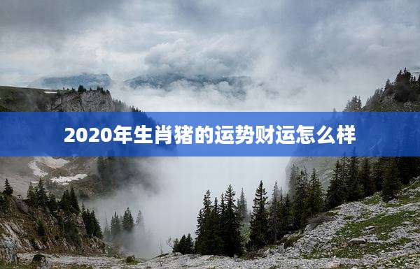 2020年生肖猪的运势财运怎么样
