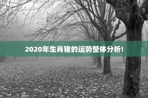 2020年生肖猪的运势整体分析!