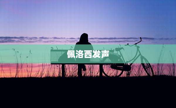 佩洛西发声