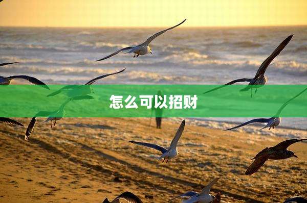 怎么可以招财