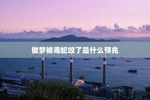 做梦被毒蛇咬了是什么预兆