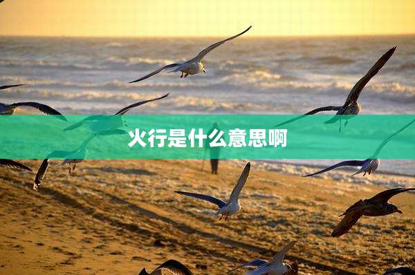 火行是什么意思啊