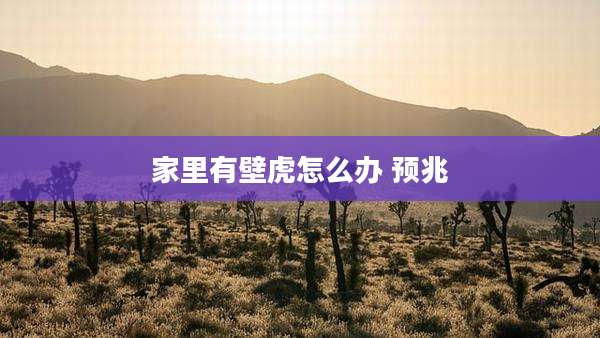 家里有壁虎怎么办 预兆