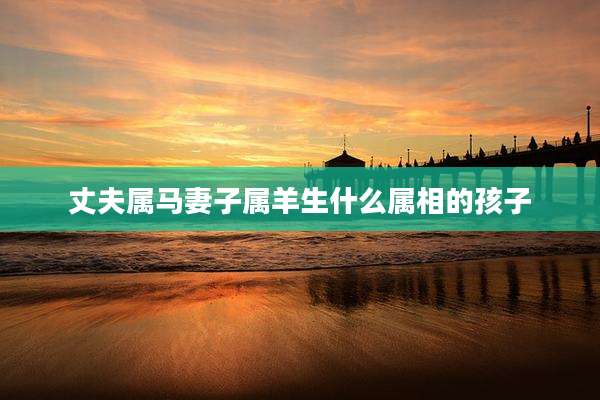 丈夫属马妻子属羊生什么属相的孩子