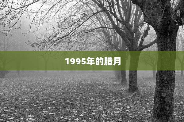1995年的腊月