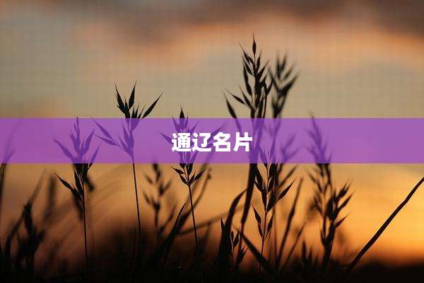 通辽名片