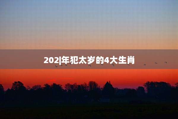 202|年犯太岁的4大生肖