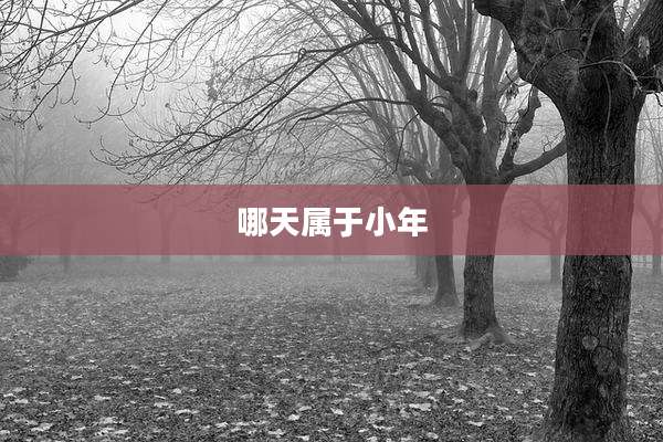 哪天属于小年