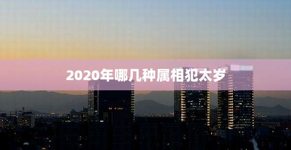 2020年哪几种属相犯太岁