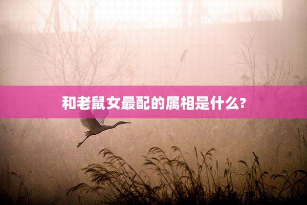 和老鼠女最配的属相是什么?