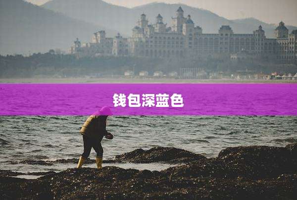 钱包深蓝色
