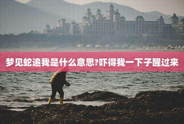梦见蛇追我是什么意思?吓得我一下子醒过来