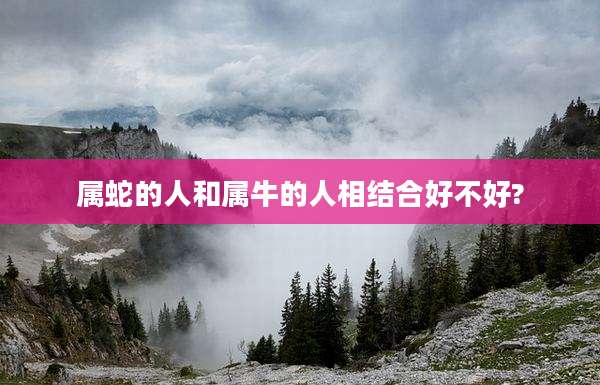 属蛇的人和属牛的人相结合好不好?