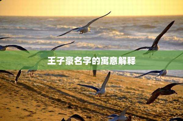 王子豪名字的寓意解释