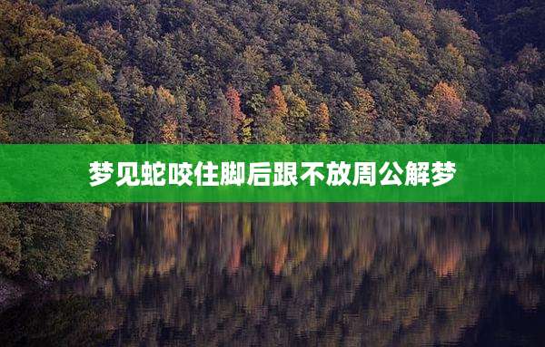 梦见蛇咬住脚后跟不放周公解梦