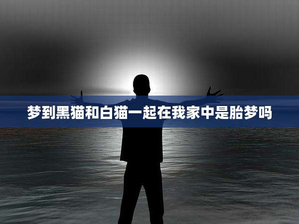 梦到黑猫和白猫一起在我家中是胎梦吗