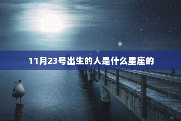 11月23号出生的人是什么星座的