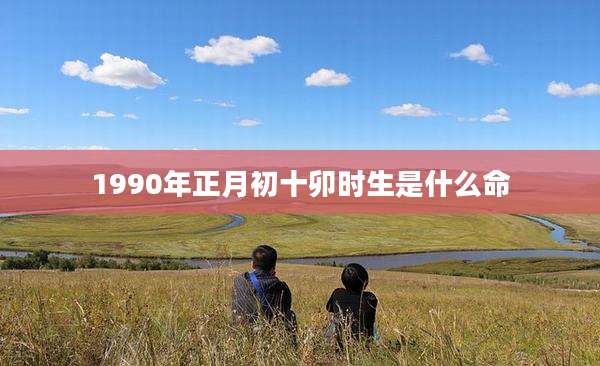 1990年正月初十卯时生是什么命