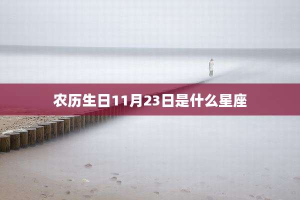 农历生日11月23日是什么星座