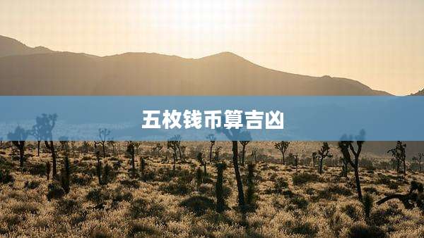 五枚钱币算吉凶