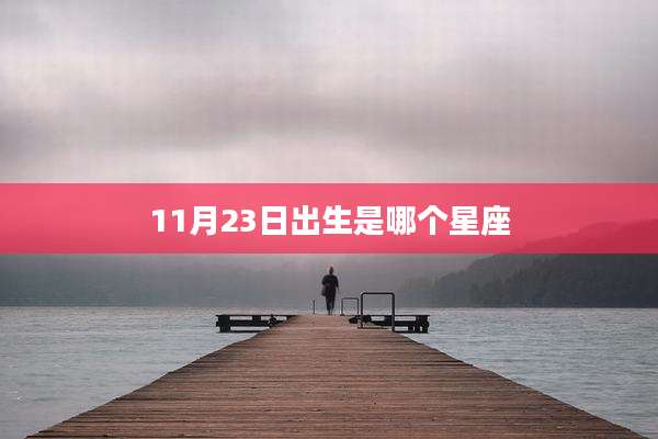 11月23日出生是哪个星座