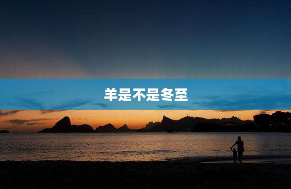 羊是不是冬至