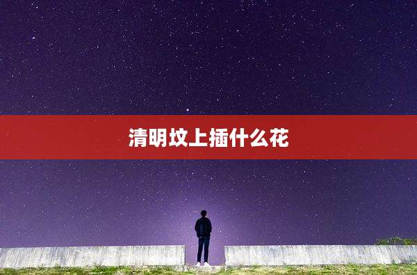 清明坟上插什么花