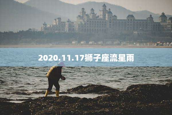2020.11.17狮子座流星雨